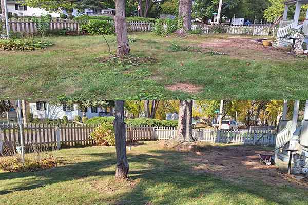 beforeafter pic 1 small